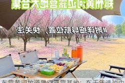 东营黄河故道星空露营基地：在千年遗迹中邂逅星河