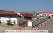 东营73个村集体收入破百万，村党支部领办合作社成效显著